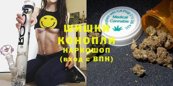 СК Бородино