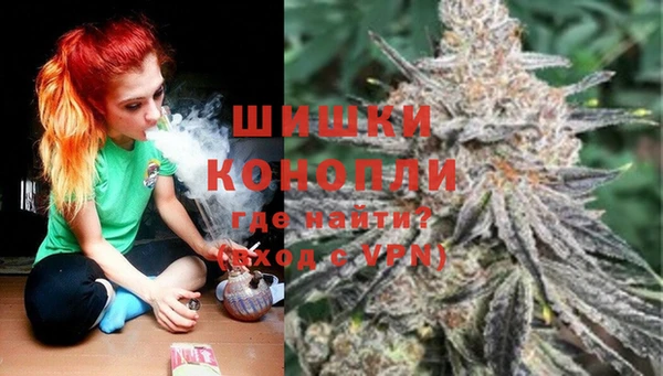 первитин Богданович