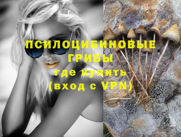 первитин Богданович