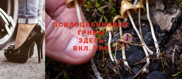 СК Бородино