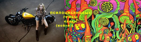 первитин Богданович