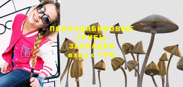 mdma Дмитриев
